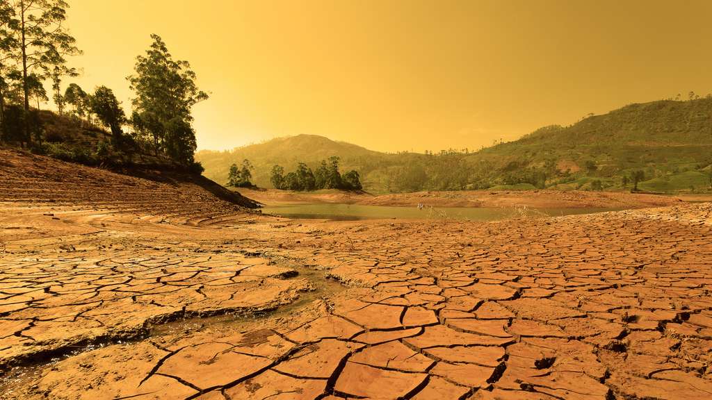 La fréquence et l'intensité des sécheresses est l'une des conséquences déjà visibles du réchauffement climatique. © Rodhan, Adobe Stock