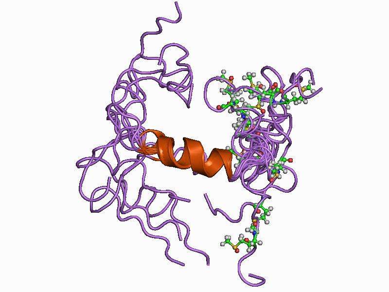 La protéine bêta-amyloïde (représentée sur cette image) se compose de 36 à 43 acides aminés. Elle se retrouve principalement dans le cerveau dans lequel elle s'associe avec d'autres bêta-amyloïdes pour former des oligomères. S'ils poursuivent leur agglomération, alors ils forment des plaques denses. © Jawahar Swaminathan, Wikipédia, DP