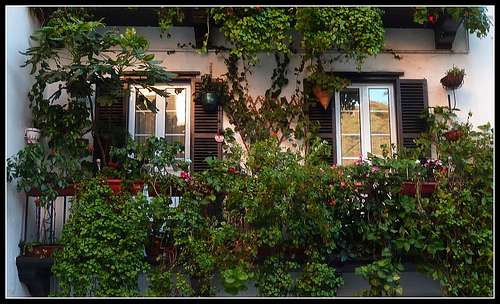 Un jardin en balcon, la tendance se développe. © Sylabox / Flickr - Licence Creative Common (by-nc-sa 2.0)
