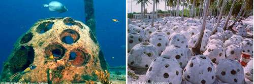 Exemples de récifs paysagers avec une recherche d’esthétisme : Reef ball. © Reef Ball Foundation 