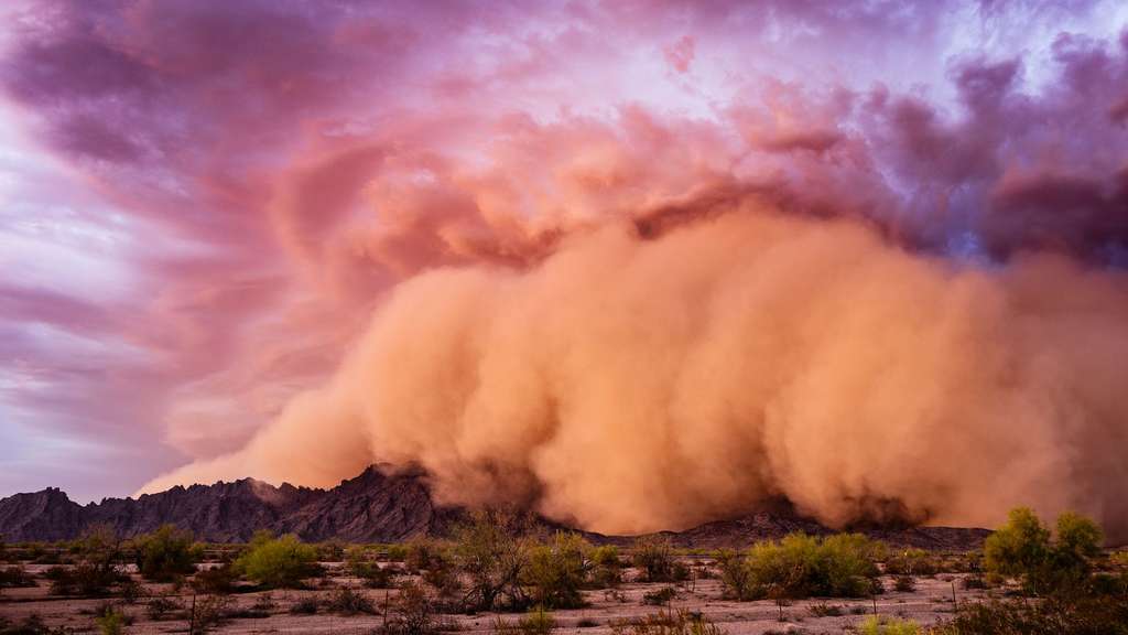 Une tempête de sable « haboob » dans le désert américain. © Canva