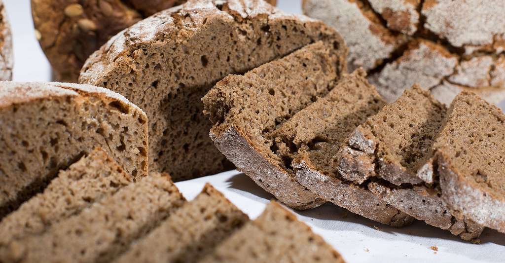 Le Pain De Seigle Recette Et Composition Dossier
