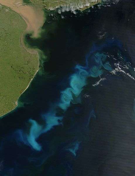 Le phytoplancton peut s'observer par satellite, comme sur cette photo de la côte Argentine prise par le satellite Aqua de la NASA à l'aide du spectroradiomètre MODIS (Moderate Resolution Imaging Spectroradiometer). Crédits DR.