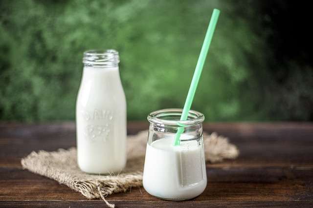 Pour ou contre le lactose ? © Imoflow, Pixabay, DP