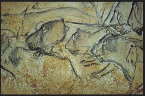 Lions des cavernes de la grotte Chauvet Lions des cavernes de la grotte Chauvet
