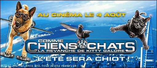 Concours Comme Chiens Et Chats La Revanche De Kitty Galore