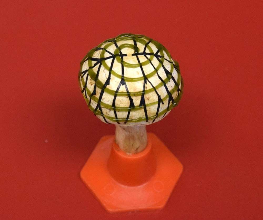 Le champignon « bionique » de Paris. © American Chemical Society