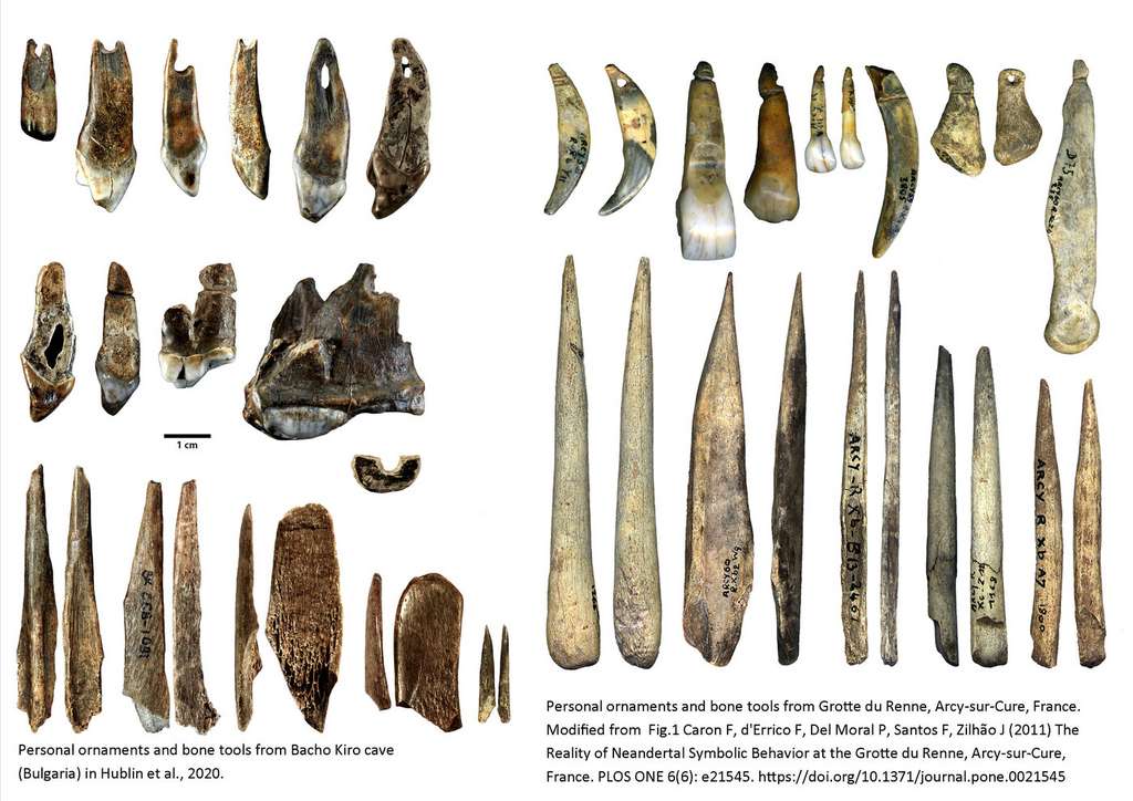 Ornements personnels et outils en os de la grotte Bacho Kiro (à gauche) et de la grotte du Renne (France, à droite). Les artefacts de la grotte de Bacho Kiro sont attribués à l'Homo sapiens et datent d'environ 45.000 ans. Les artefacts de la Grotte du Renne sont attribués aux Néandertaliens et ne sont pas aussi vieux. © Rosen Spasov et Geoff Smith, CC by-sa 2.0