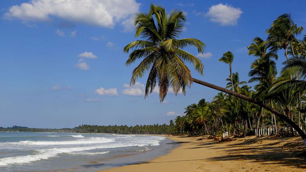 La plage de Cosson, proche de Las Terrenas La plage de Cosson, proche de Las Terrenas