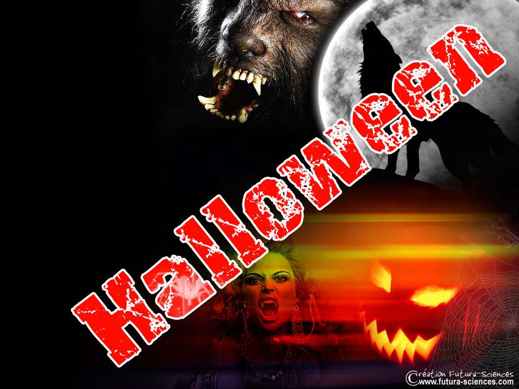 Halloween Halloween