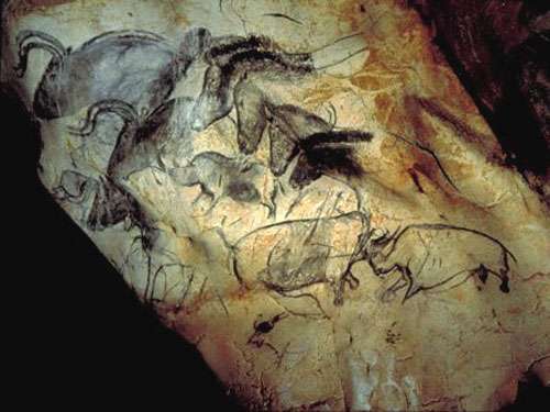 Fresque avec buffles, chevaux et rhinocéros, dans la grotte Chauvet