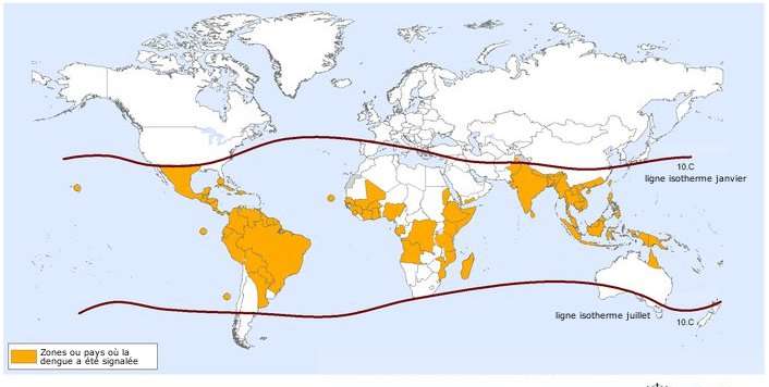 Zones à risque pour la dengue en 2010. Les lignes isothermes montrent la limite de la zone à risque au sein de laquelle Aedes aegypti est présent toute l'année. © Organisation mondiale de la santé, 2010