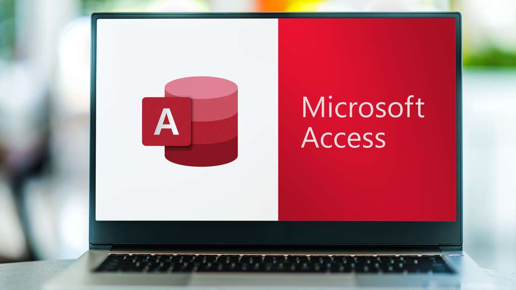 La formation Udemy Microsoft Access © monticellllo, Adobe Stock