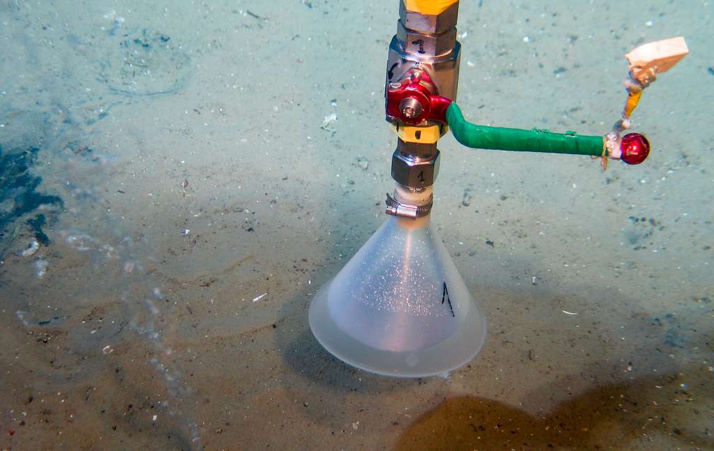 En travaillant directement sur le fond de la mer, les chercheurs du Geomar, un institut d’océanographie (Allemagne), ont pu déterminer la quantité de méthane qui s’échappe d’anciens puits en mer du Nord. © ROV Team, Geomar