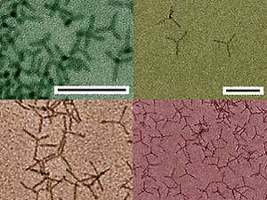 Tétrapodes en séléniure de Cadmium observés au microscope électronique (Crédit : Rice University).
