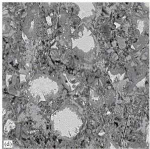 Au microscope électronique, le ciment (après gâchage à l'eau et sec) dévoile sa structure granulaire. Les particules sont de tailles variables (l'image montre un carré de 150 x 150 μm). Les auteurs de l'étude ont montré qu'on peut caractériser la structure du ciment en étudiant des surfaces de 100 x 100 μm. Crédit : K. Scrivener.