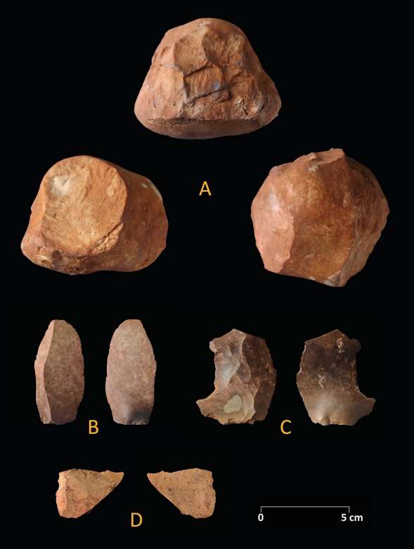 Ici, des outils datant du Paléolithique moyen : un noyau de quartzite en A, une lame en B, un éclat levallois en C et un grattoir en D. © Ramos-Muñoz et al.