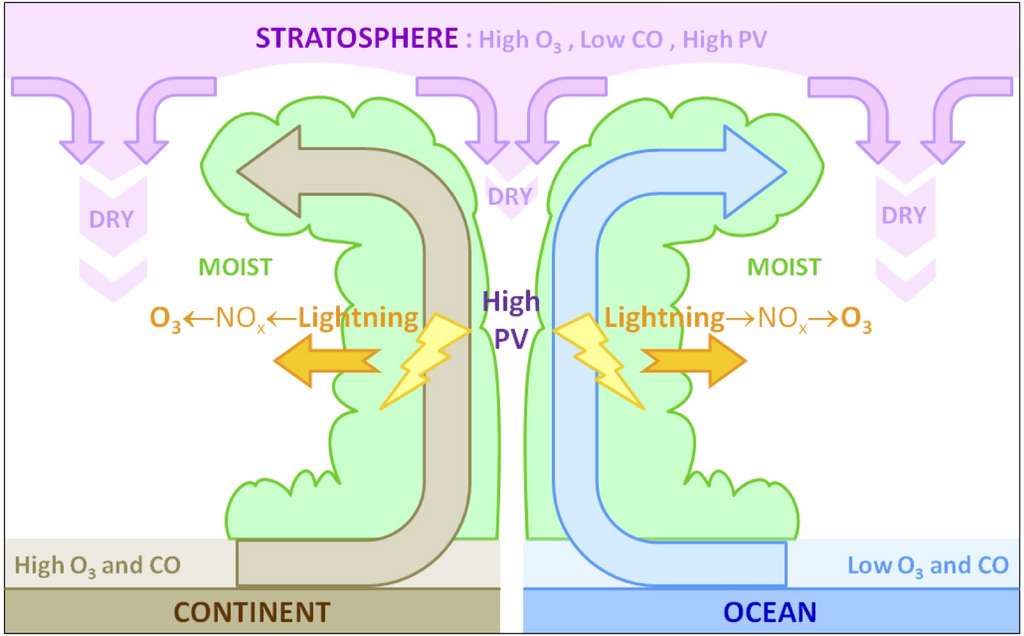 Coupe verticale idéalisée (avec une échelle verticale amplifiée) d’un typhon, ou cyclone tropical, et des transports associés d’ozone (O3) et de monoxyde de carbone (CO), en relation avec les régions sèches (dry) et humides (moist), et les zones de fort tourbillon potentiel (PV). Cette figure résume les différentes contributions à l'impact des typhons sur la composition chimique de l'atmosphère. © Franck Roux, LA-OMP