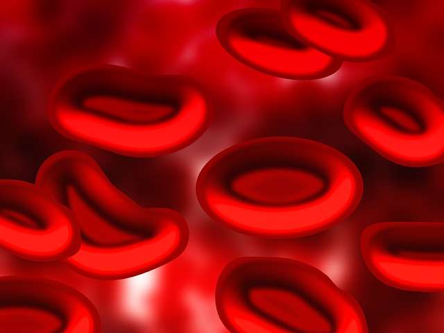 Les globules rouges transportent l'oxygène nécessaire au fonctionnement des organes. Lorsqu'une artère coronaire se bouche, l'approvisionnement en oxygène vers le cœur est limité, ce qui peut conduire à l'infarctus. © Geralt, Pixabay, DP 