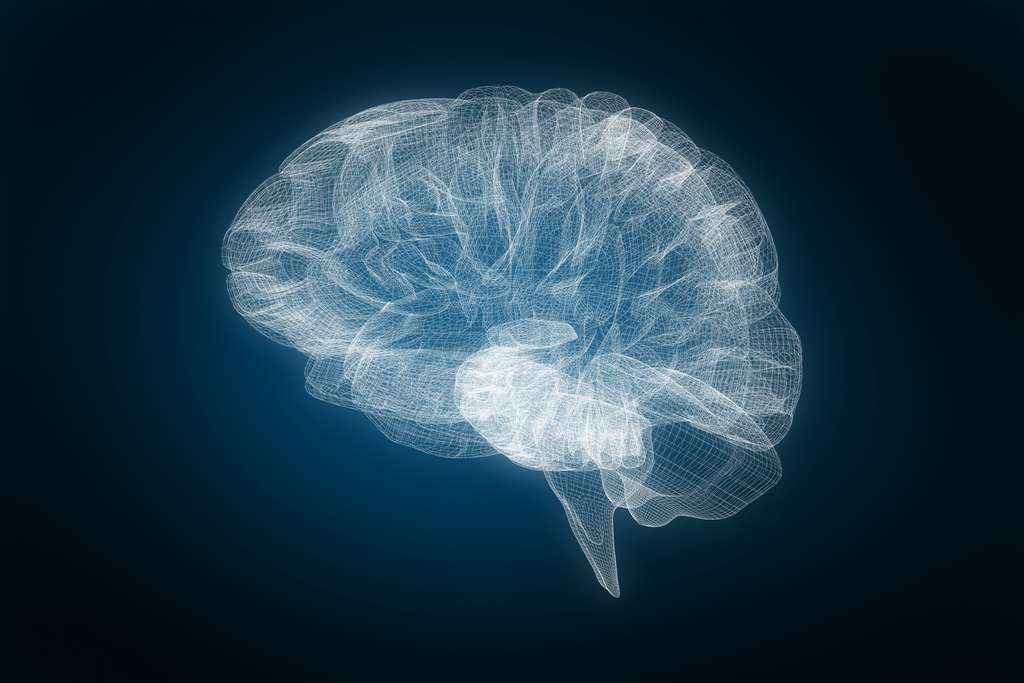 La zone précise de la conscience reste introuvable dans le cerveau. © vectorfusionart, Adobe Stock