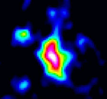 J1148+5251 au centre observé par le VLA. Crédit : Walter et al., NRAO/AUI/NSF