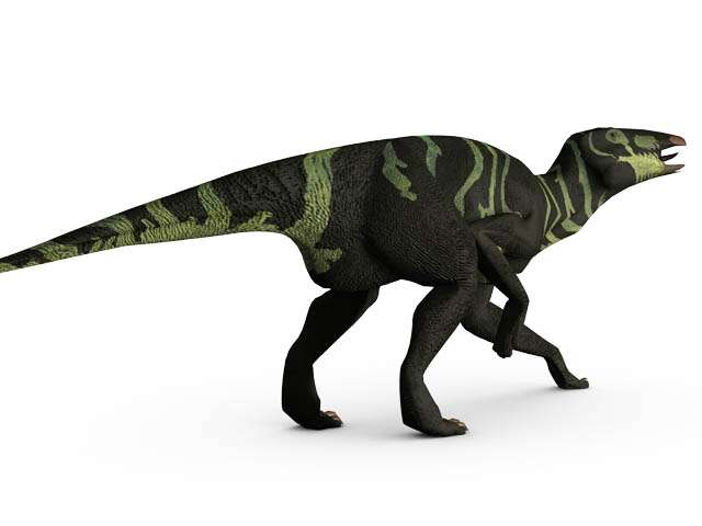 Les dinosaures avaient des cancers Les dinosaures avaient des cancers