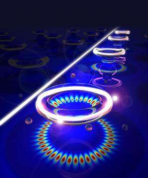 La lumière laser est apportée par la fibre optique qui longe les résonateurs en forme de tores. Deux nanoparticules, ici représentées par des points blancs, sont venues se poser sur le premier d'entre eux et perturbent la lumière tournant dans chaque anneau. La collerette colorée au bas de chaque tore montre les nœuds et les anti-nœuds de l'onde prisonnière de l'anneau. Cette répartition est modifiée quand une nanoparticule touche l'anneau. © Jiangang Zhu et Jiangyang Gan/WUSTL