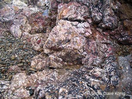 Roche rose-mauve de la région, qui retrace son passé hydrothermal. © Claire König, tous droits réservés