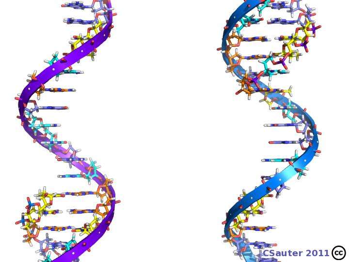 enzyme en 3 lettres