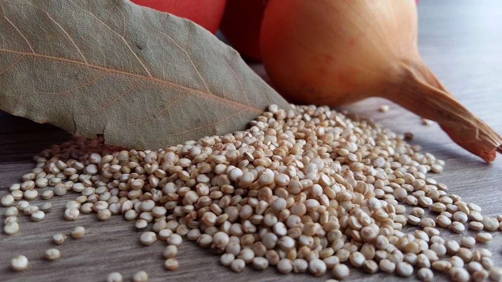 Le quinoa n’est pas une céréale Le quinoa n’est pas une céréale