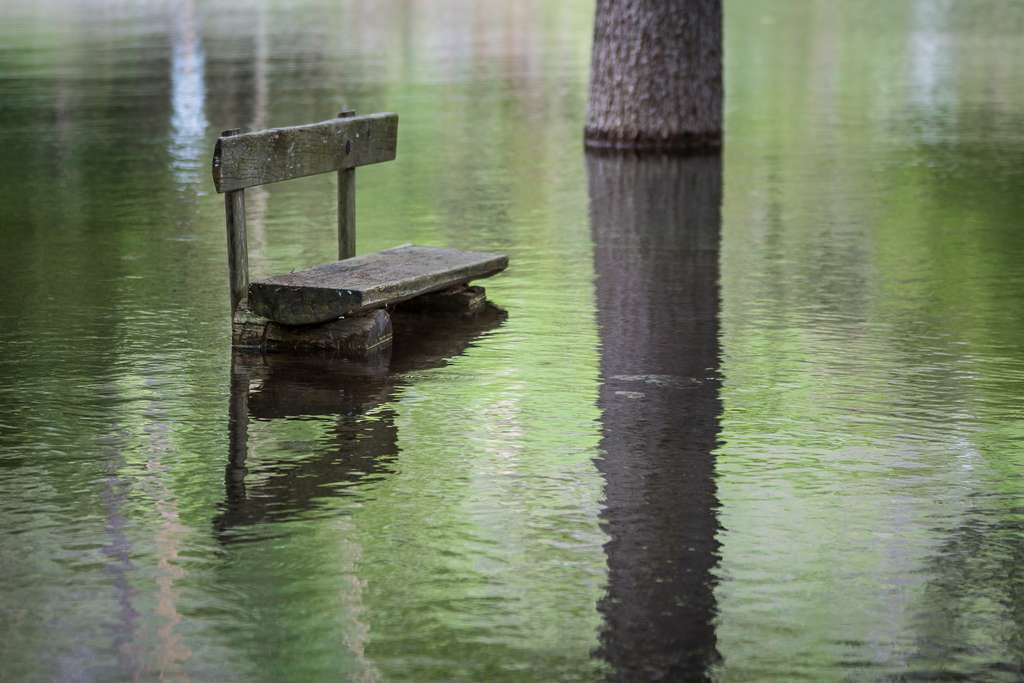 Le banc du Grüner See, ou lac Vert, bientôt sous les eaux Le banc du Grüner See, ou lac Vert, bientôt sous les eaux