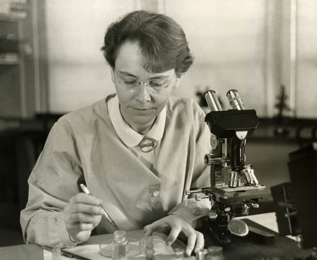 Barbara McClintock (1902-1992) dans son laboratoire de Cold Spring Harbor Laboratory, à New York, en 1947. © Smithsonian Institution, Science Service ; restauration Adam Cuerden