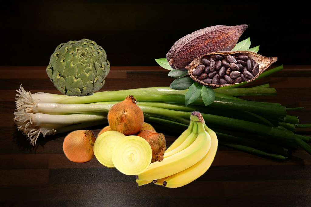 Les prébiotiques, des aliments entretiennent la flore bactérienne Les prébiotiques, des aliments entretiennent la flore bactérienne