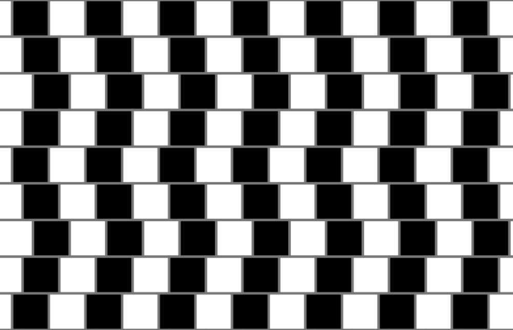 L’illusion du mur de café, décrite par Richard Gregory L’illusion du mur de café, décrite par Richard Gregory