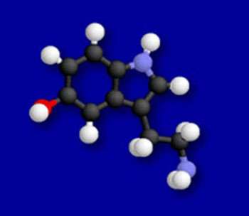 Molécule de sérotonine. Les atomes sont représentés par des boules suivant un code couleur (noir : carbone, blanc : hydrogène, rouge : oxygène, bleu : azote). Source : http://lecerveau.mcgill.ca