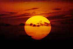 Fdls2004 Le Coucher Du Soleil Pour Reactualiser Le Compas Interne Des Oiseaux