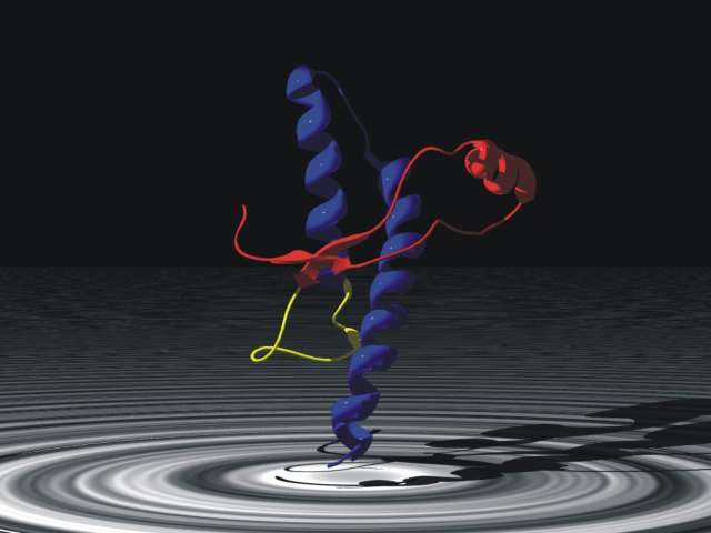 Le prion, une protéine infectieuse, est responsable de la maladie de Creutzfeldt-Jakob. © Cornu, cc by-sa 2.0