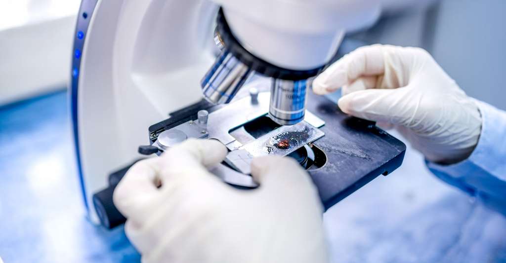 La biotechnologie industrielle est née aux États-Unis avant d'arriver en France. © Bogdanhoda, Shutterstock