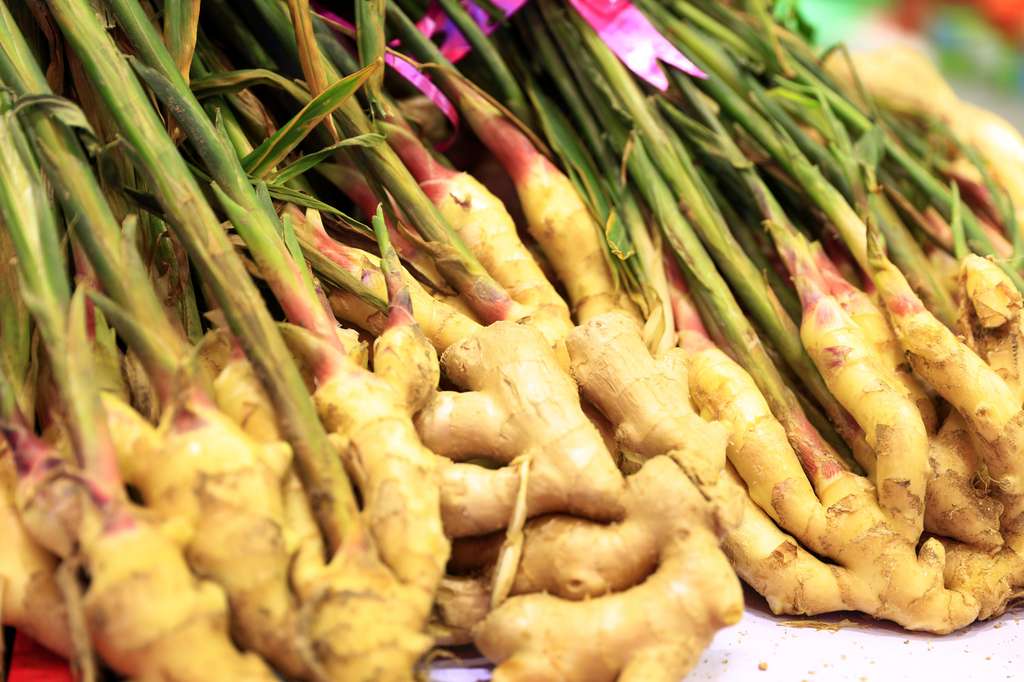 Le rhizome de gingembre frais est un superaliment qui peut se consommer en infusion. © Zhengzaishanchu, Fotolia