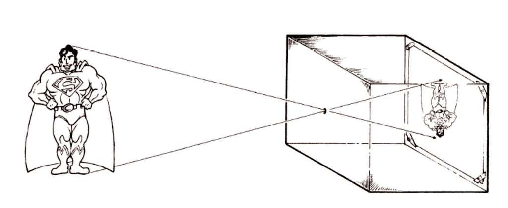 Voir La Chaleur Avec La Thermographie Dossier