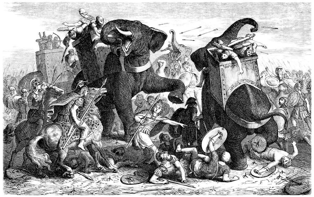 Les Romains ont utilisé des éléphants de guerre contre les Carthaginois, notamment. © Erica Guilane-Nachez, Adobe Stock