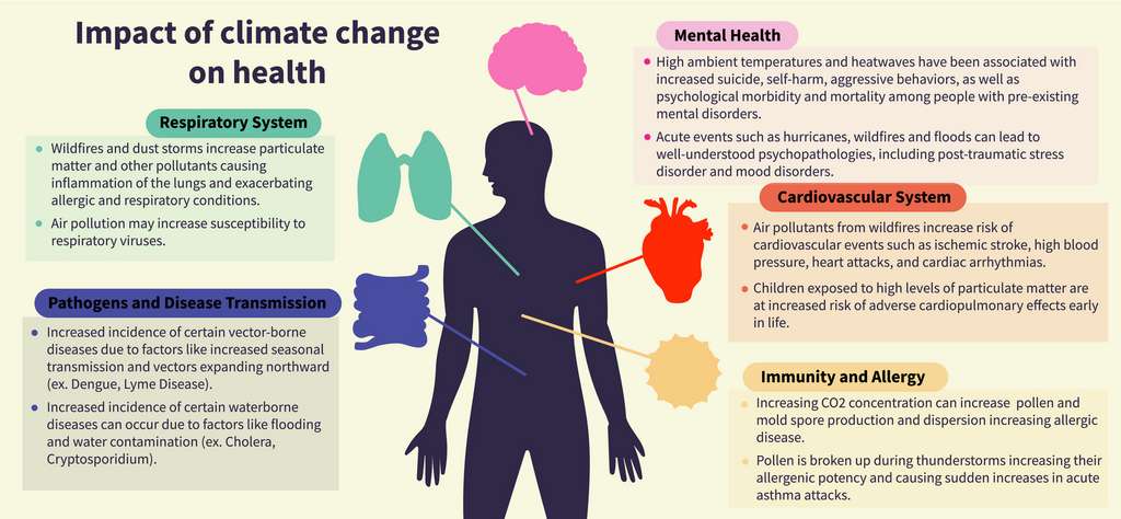 Les effets du réchauffement climatique sur la santé en fonction des différents groupes d'organes. © Ioana Agache et al., EAACI