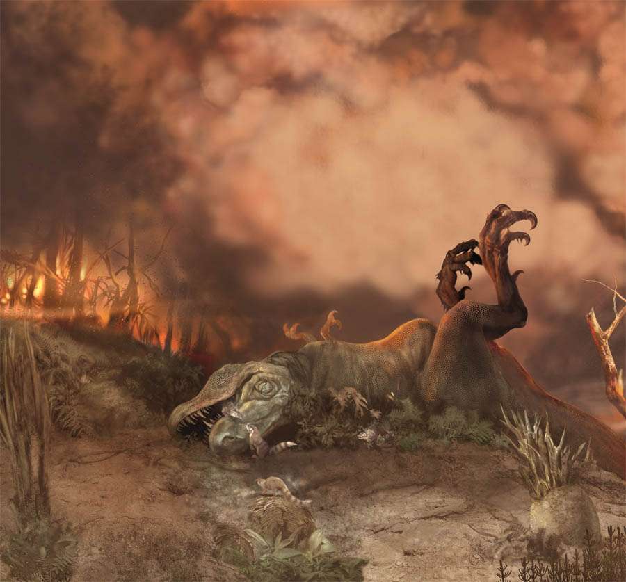 La disparition des dinosaures a fait grandir les mammifères La disparition des dinosaures a fait grandir les mammifères