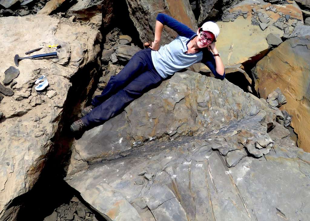 Au Canada, des chercheurs ont eu le bonheur de trouver des fossiles d’un arbre inconnu dont la forme étrange les a surpris. © Matt Stimson, Colby College Au Canada, des chercheurs ont eu le bonheur de trouver des fossiles d’un arbre inconnu dont la forme étrange les a surpris. © Matt Stimson, Colby College