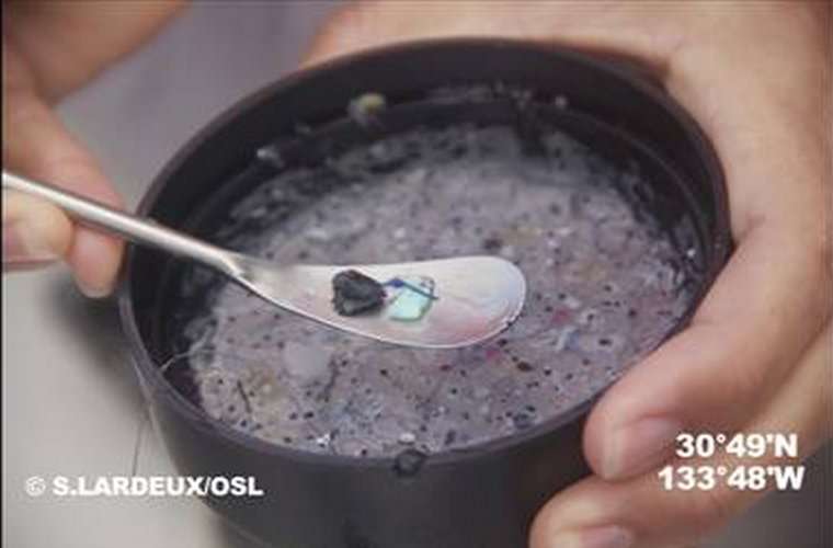 Les r&eacute;sultats des r&eacute;coltes des filets sont sans appel. Les gyres sont infest&eacute;s de macro et microd&eacute;chets. &copy; Soizic Lardeux, OSL