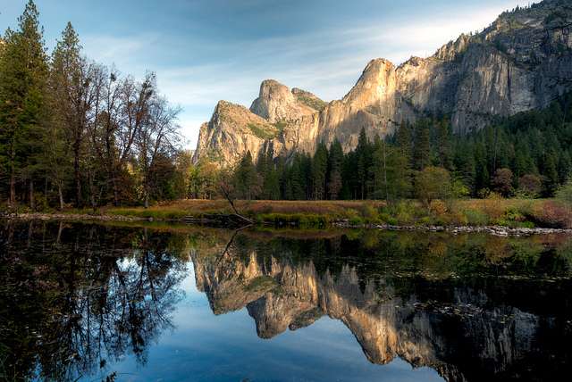 Le parc Yosemite, en Californie, perd des milliers d'arbres chaque année à cause des incendies et des parasites. © Randy Le Moine Photography