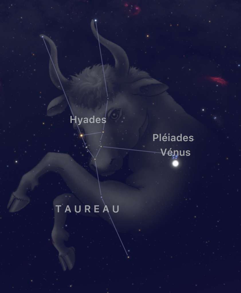 La Planete Venus Est Au Plus Pres Des Pleiades Ce Soir