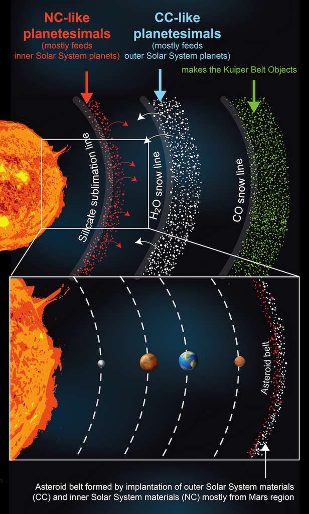 Dans le nouveau modèle des débuts du Système solaire, trois anneaux de planétésimaux se forment, liés aux lignes de condensation/évaporation ou « neige » des silicates, de l'eau et du monoxyde de carbone (CO). Les deux principales classes de météorites – CC (pour les chondrites carbonées) et NC (pour les non carbonées) – représentent des planétésimaux qui se sont formés dans les anneaux intermédiaires et intérieurs et se sont ensuite dispersés dans la ceinture principale d'astéroïdes. © Rajdeep Dasgupta