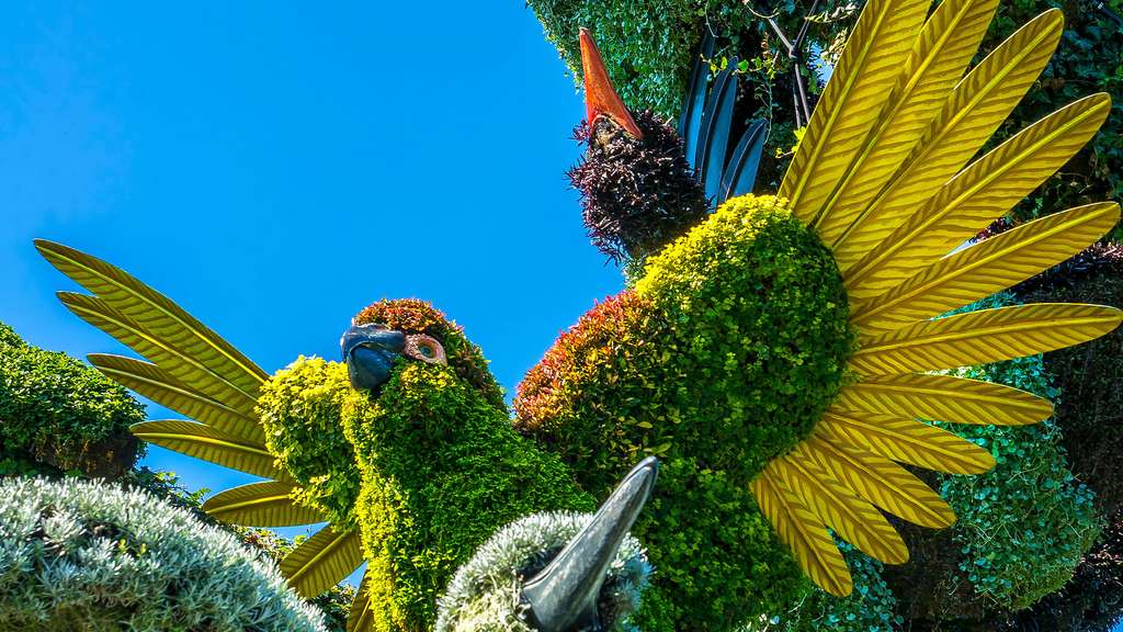 Le perroquet, une des mosaïcultures de l’arbre aux oiseaux Le perroquet, une des mosaïcultures de l’arbre aux oiseaux