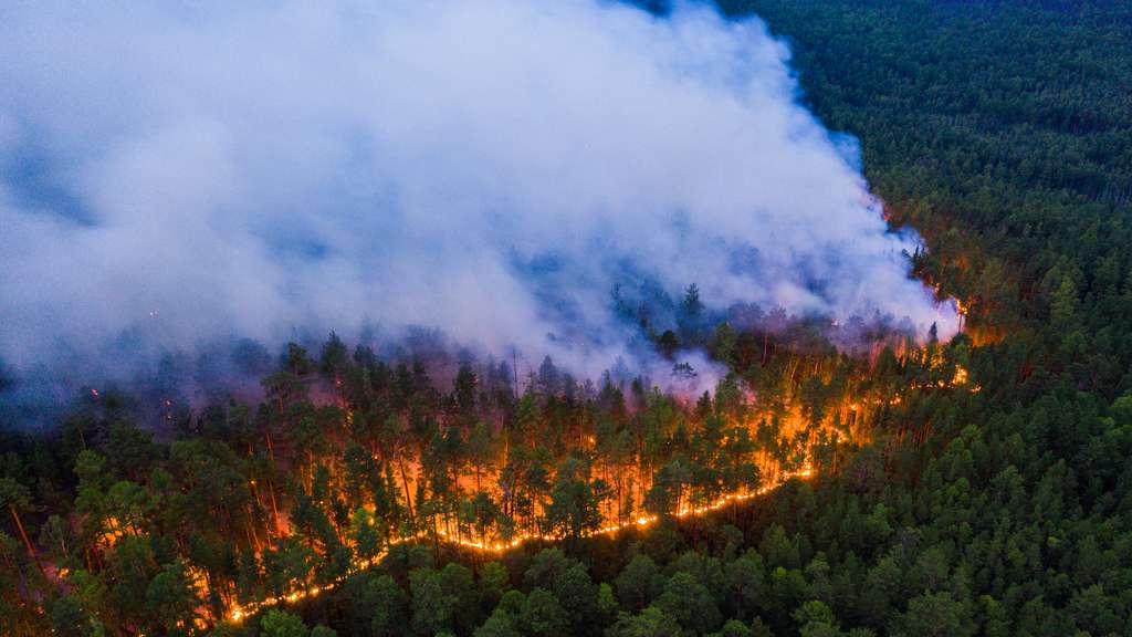 Images sidérantes des incendies en Sibérie survolée en drone